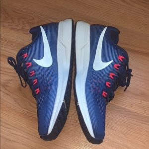 Nike Zoom Pegasus 34